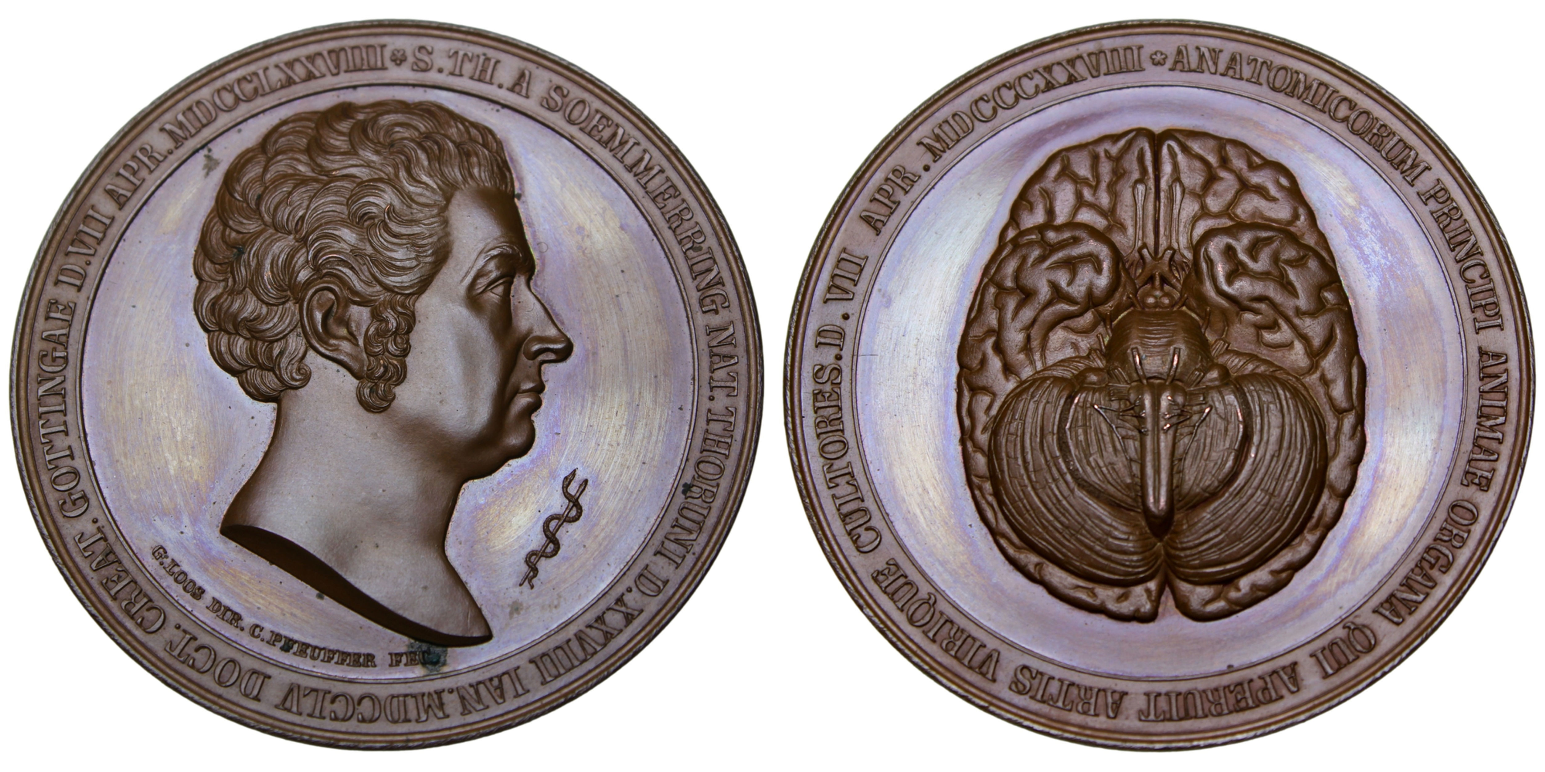 103409 | GERMANY. Samuel Thomas Sömmering bronze Medal.