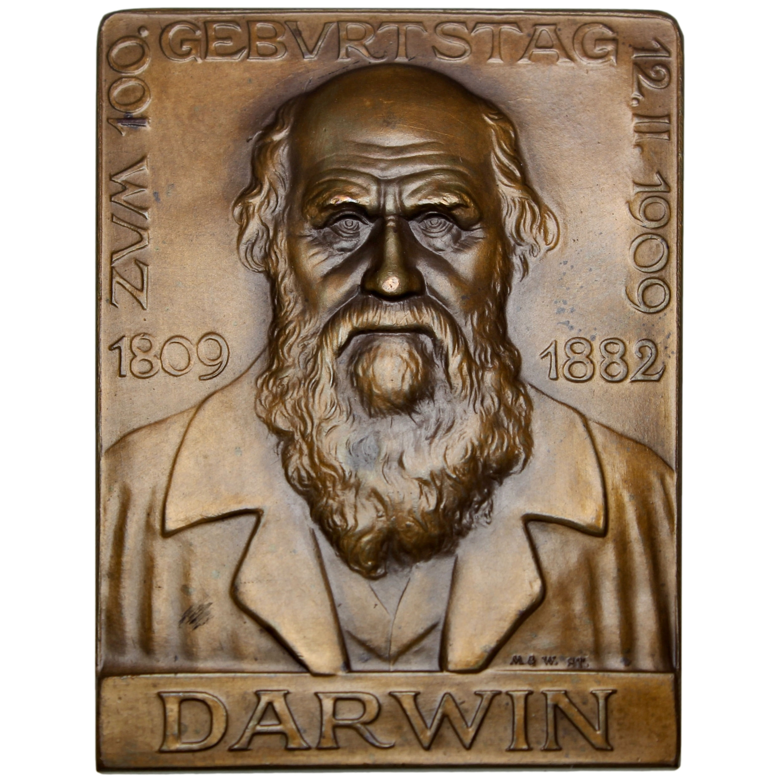 103301  |  GREAT BRITAIN & GERMANY. Charles Darwin uniface bronze Plaque.