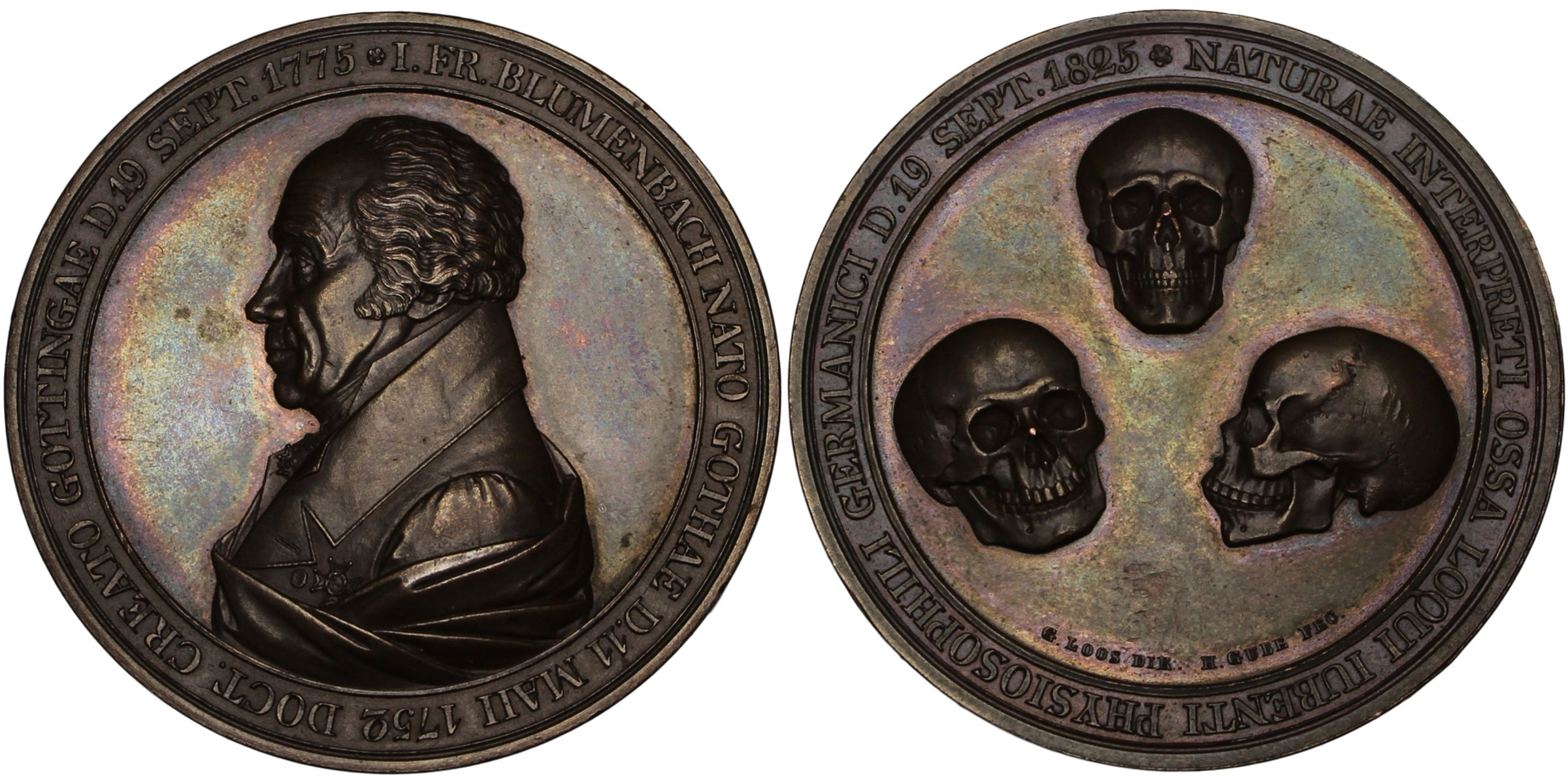 100245  |  GERMANY. Johann Friedrich Blumenbach bronze Medal.