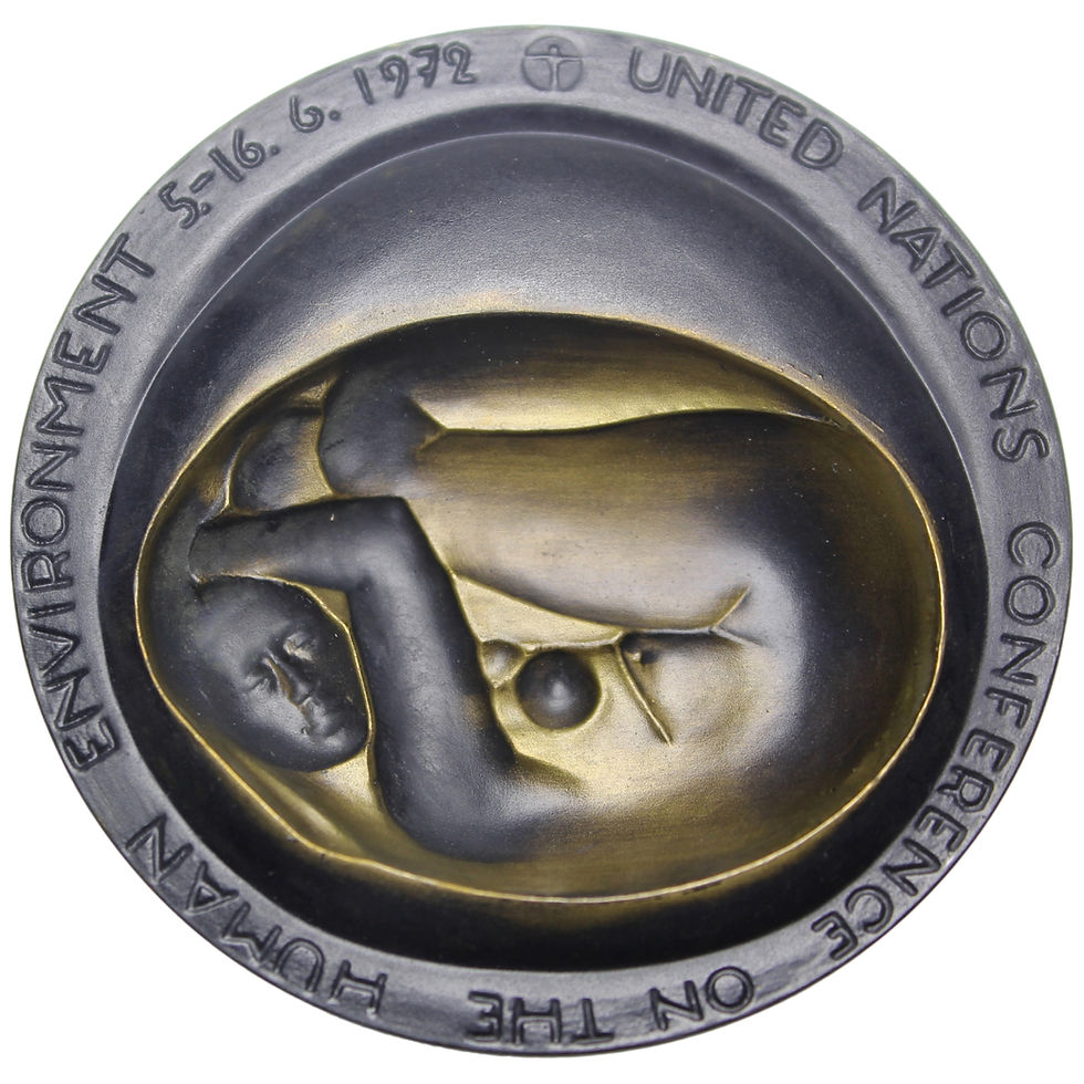 Thumbnail: 103316  |  SWEDEN & FINLAND. "Only One Earth" multi-piece bronze Medal.