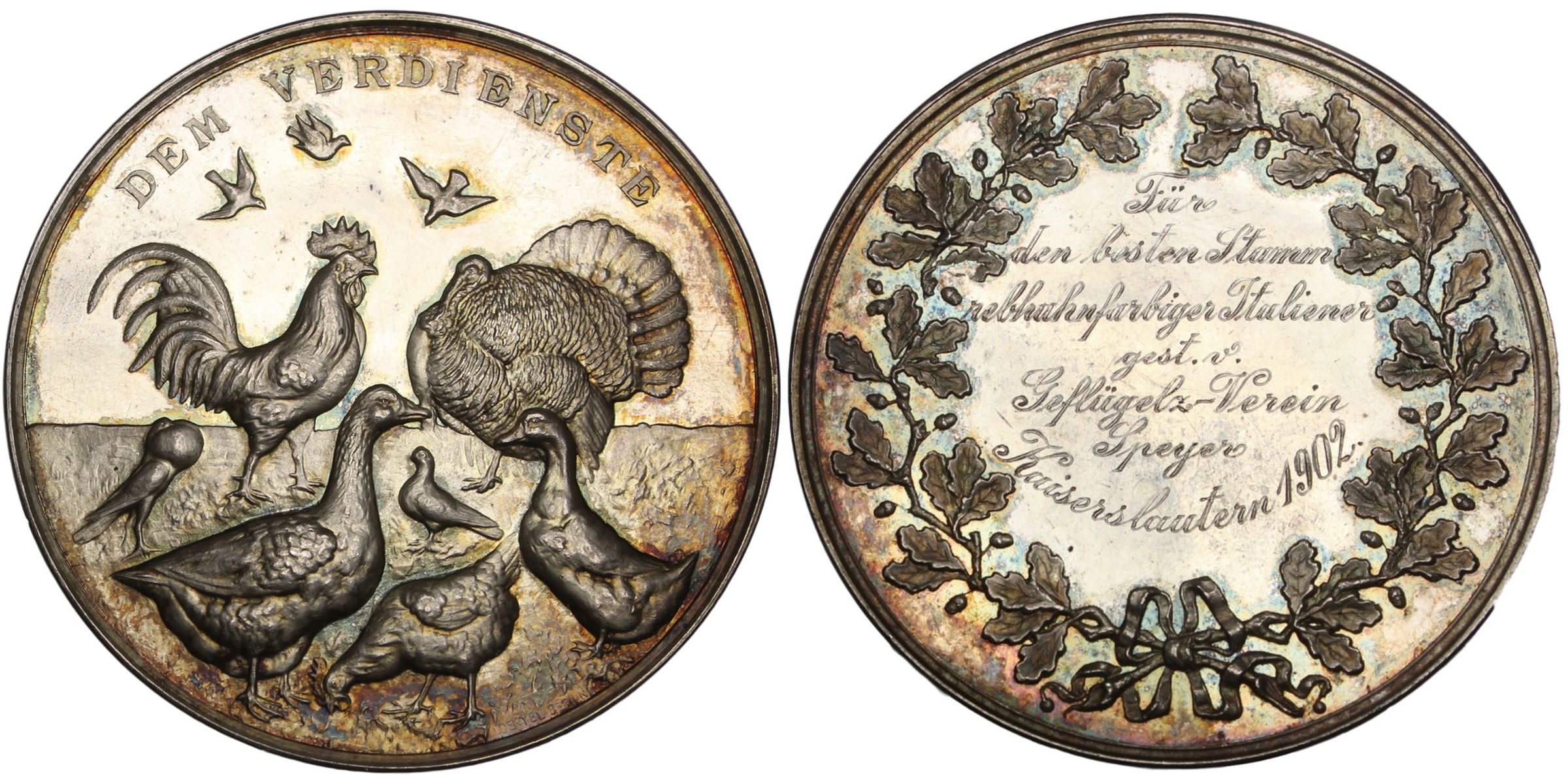 100928 | GERMANY. Avian silver Prize Medal.