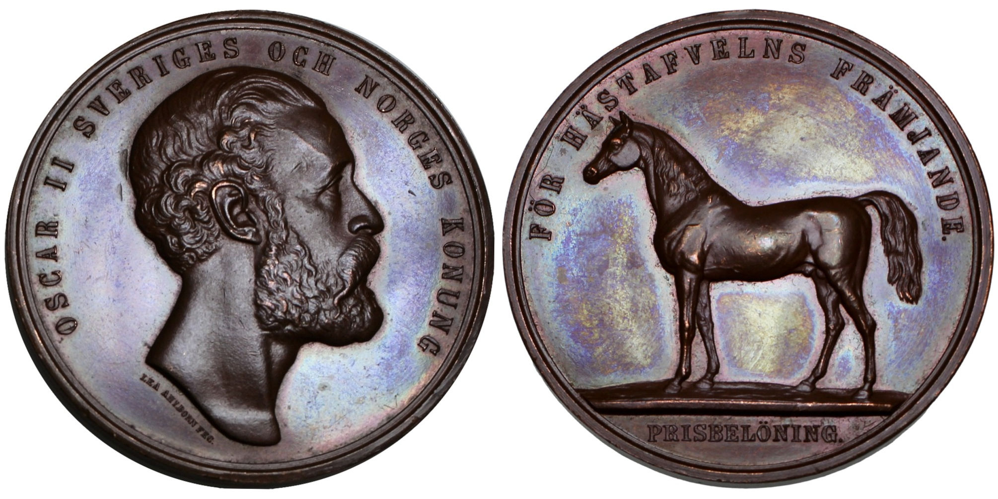 102912 | SWEDEN. Oscar II bronze Award Medal.