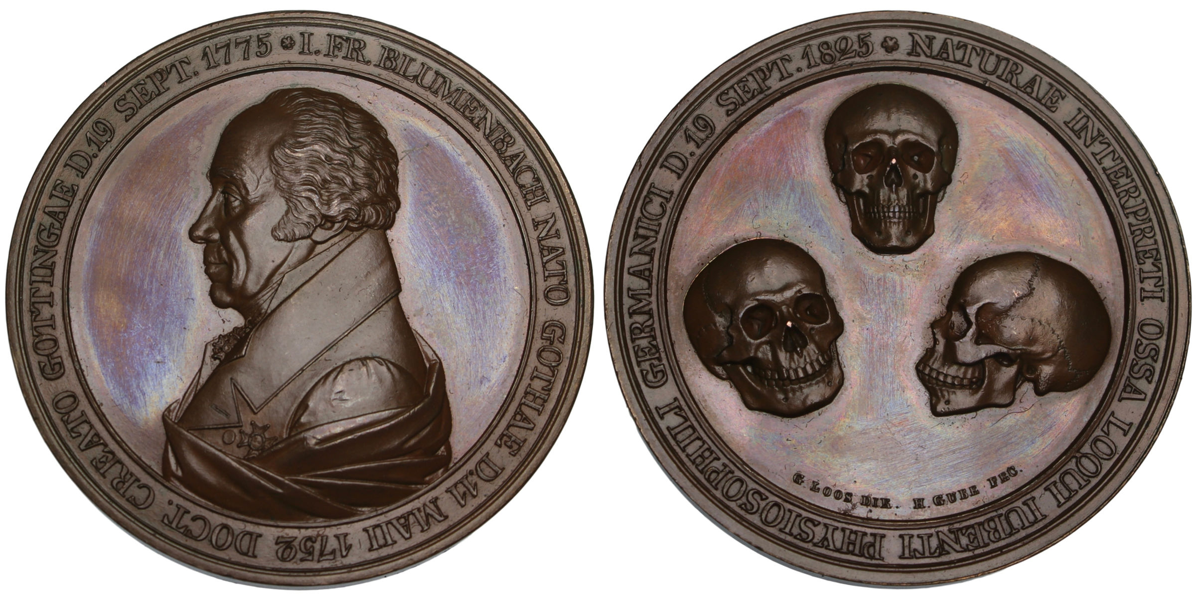 100791 | GERMANY. Johann Friedrich Blumenbach bronze Medal.