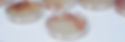 banner_plates_research_edited_edited.jpg