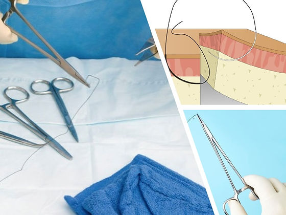 Suture Technique Certificate Program