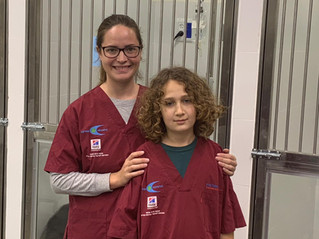 Presenting our new ICU for Small Animals