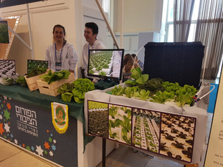 Our Innovative Greenhouse