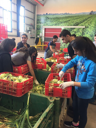 Leket Israel - Activity of Grade 9a