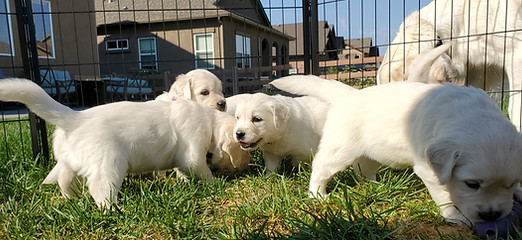 20200817_092809.jpg