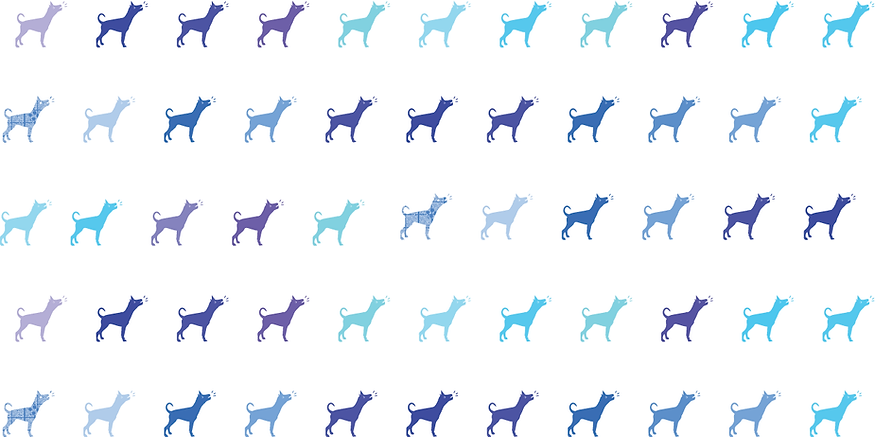 pattern2.png