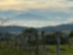 IMG_0514.jpeg