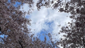 La socio-perception, une compétence individuelle et collective