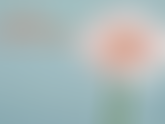 Découvrez les Cercles Socioperceptifs de Happymorphose