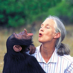 319c5f83513eace42b7b8f0f22cc2f56_edited.