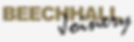 Trade-Sash-Weights-Beachhall-logo_Grey.jpg