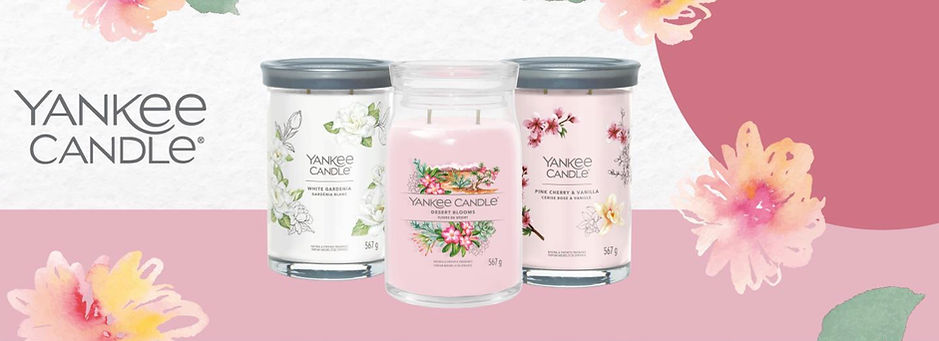 yankee sconto 30% Marzo.jpg