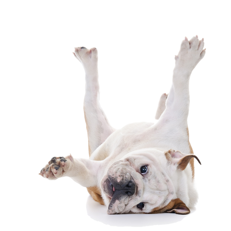 shutterstock_119691061_clipped_rev_1_edi