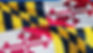 MD Flag.jpg
