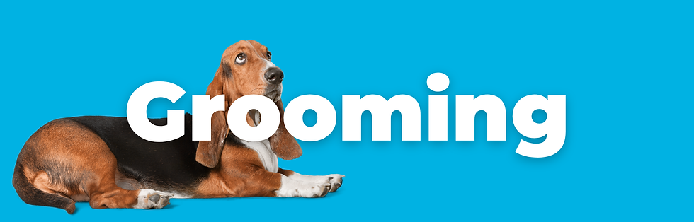 grooming.png