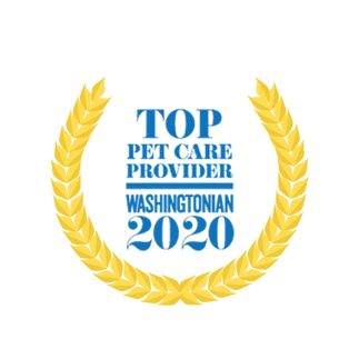 2020 square.png