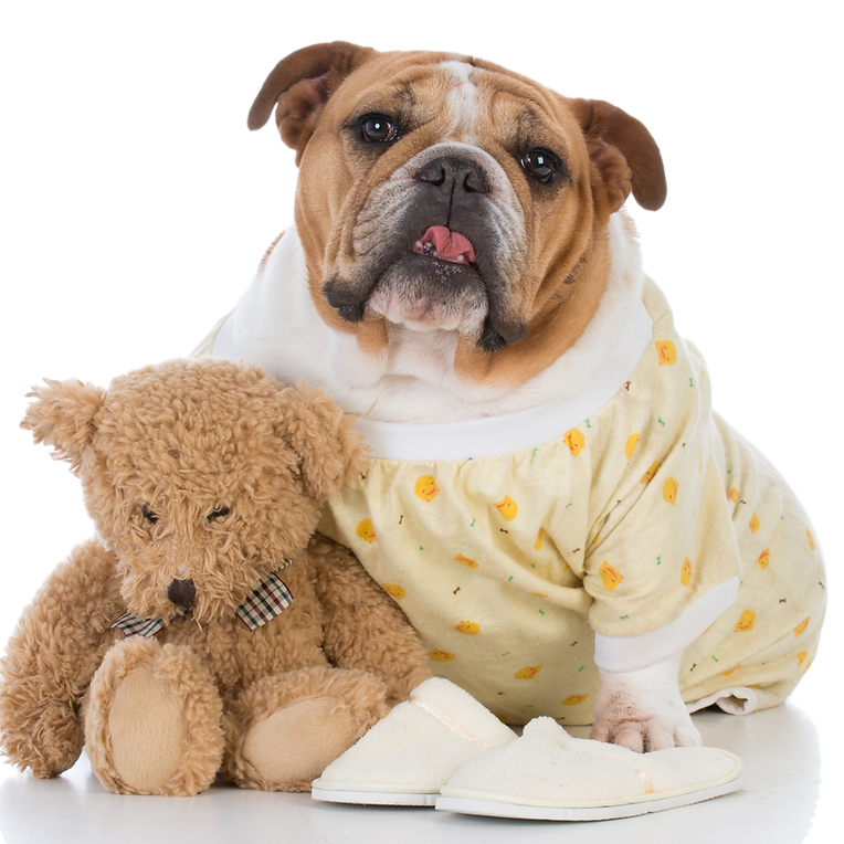 shutterstock_694807264_clipped_rev_1.png