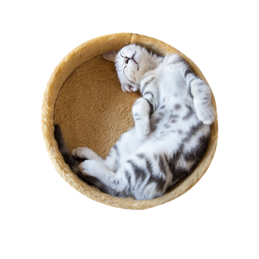 shutterstock_189082118_clipped_rev_1.png