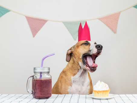 Happy Birthday to our July Pups!