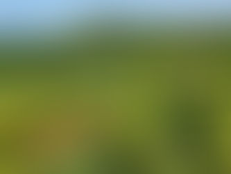 Protecting Farms from Foreign Buyers