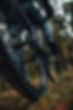 rear-wheel-of-a-mountain-bike-in-the-forest-2023-03-17-14-56-30-utc.jpg