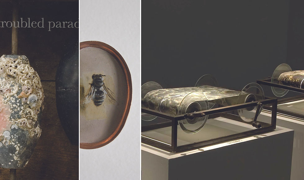 Home | Heather Green