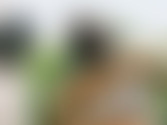 Zadnji napovednik za novo mojstrovino režiserja Lanthimosa