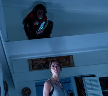 Prvinska zgodba o preživetju, postavljena v tropski raj, v srhljivki z naslovom Primat (Primate), potem ko bo udomačeni šimpanz po okužbi pričel pobijati vse pred seboj.