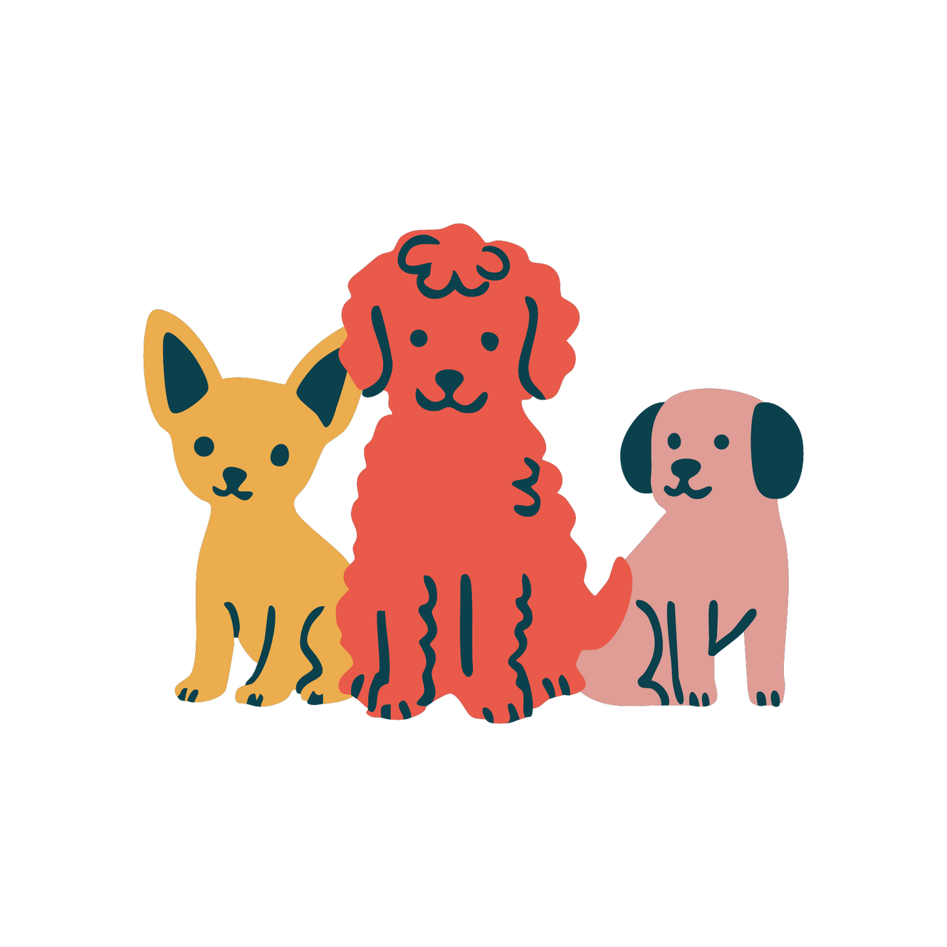 Dog Daycare Zoomies Dog Academy dog-daycare-zoomies-dog-academy