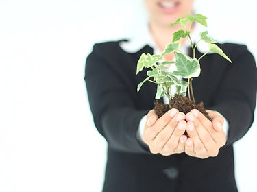 Plant Presentation
