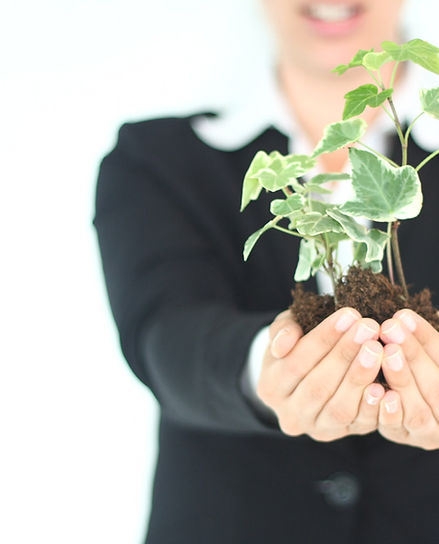 Hands Holding Plant