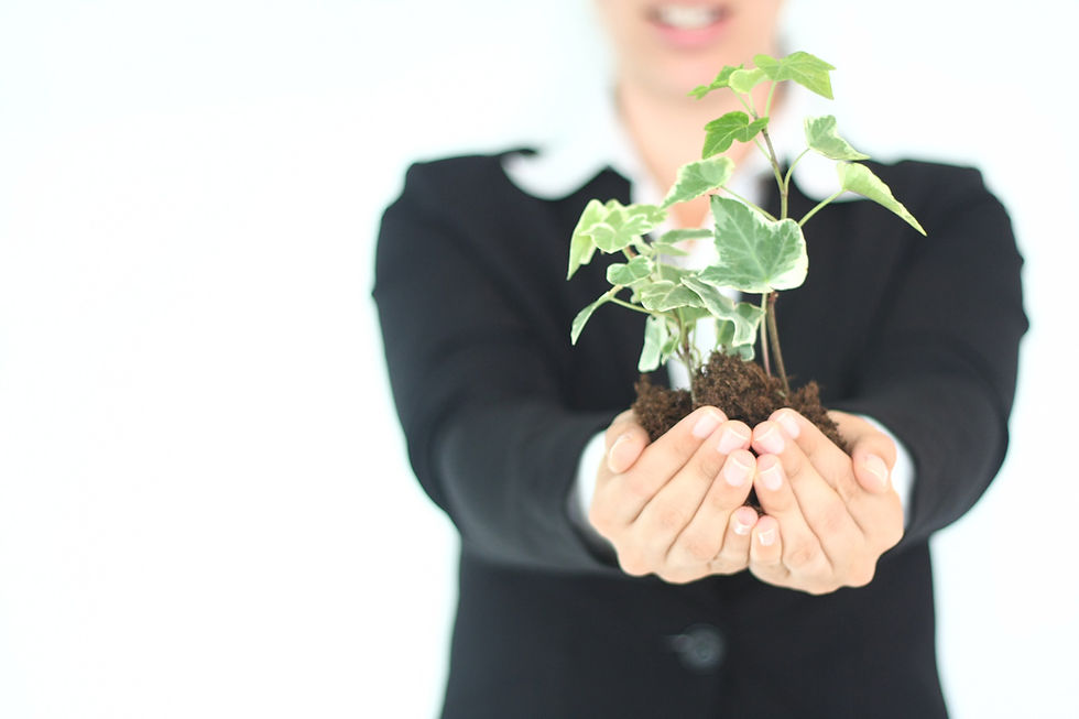 Hands Holding Plant