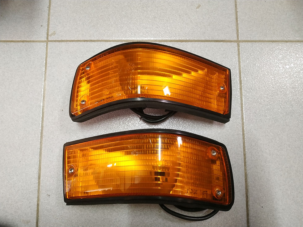 BMW E28 turn signal lights L+R Euro !NEW! GENUINE 63131366563 63131366564