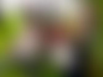 Barnamenningardagur í Skálholti 10. maí - kl 11:00 - 15:00.