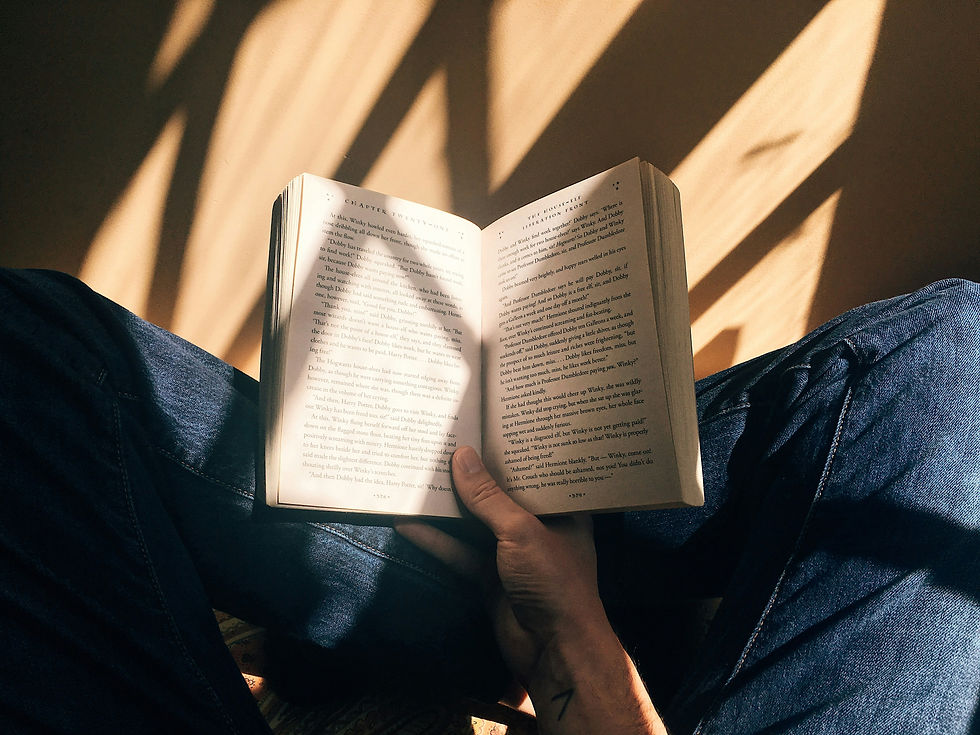 Reading in the sunlight