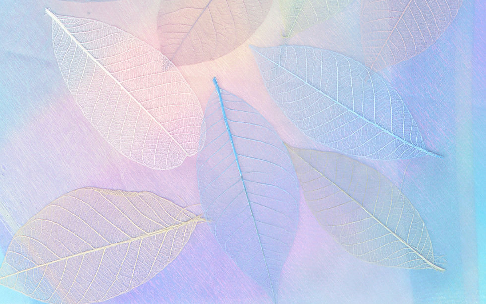 nareeta-martin-pEWtWnDgGLs-unsplash_edited.jpg