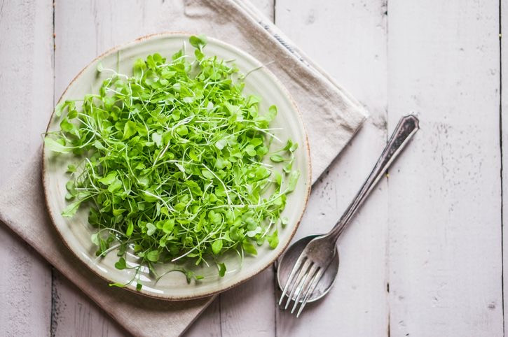 Green Pea Microgreen Box