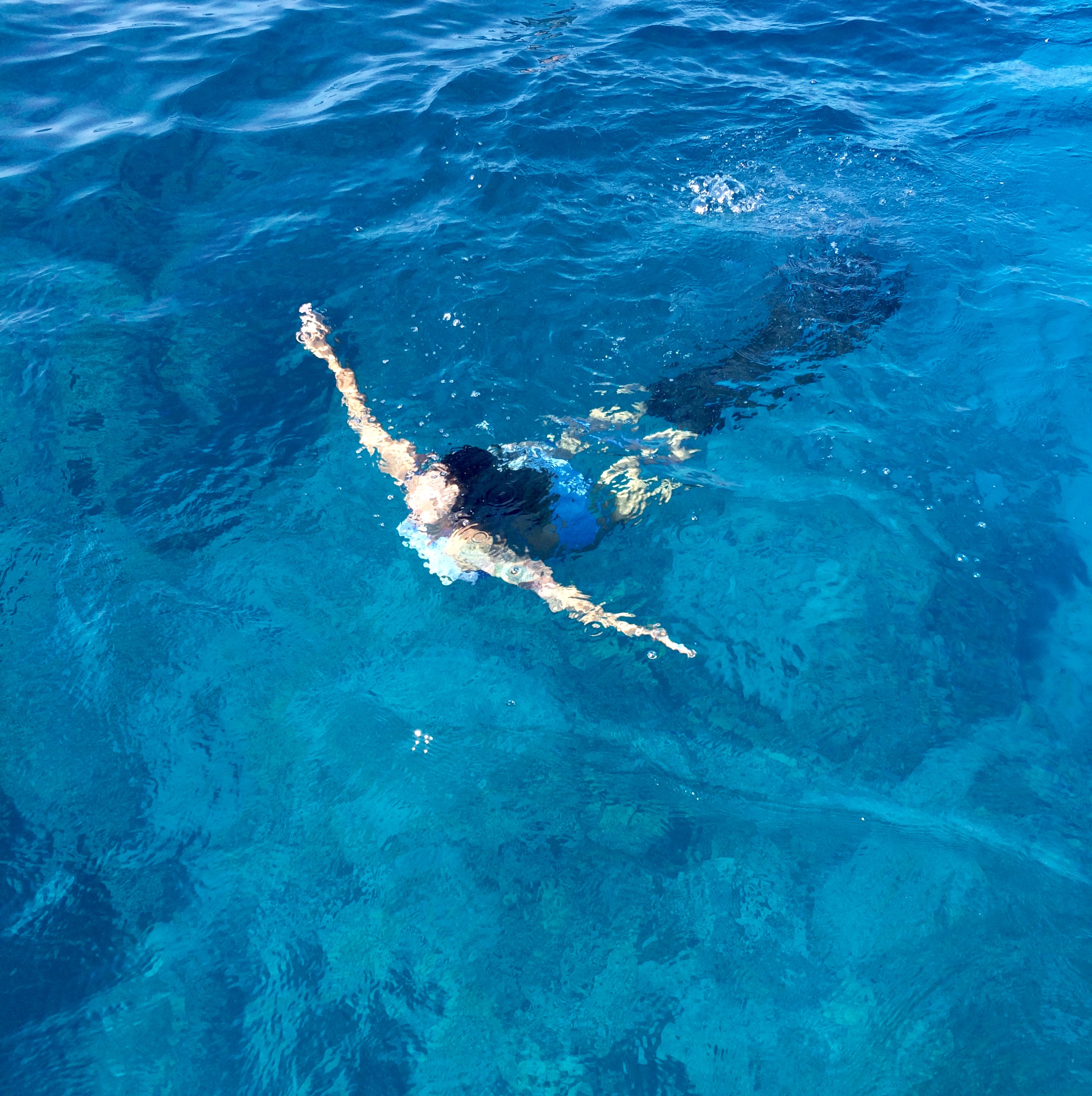 The Best Kona Snorkel Tours & Kona Boat Tours