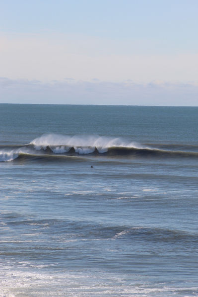 Lone Lineup