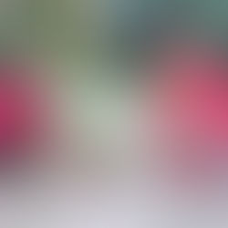 সবুজ অভিযান