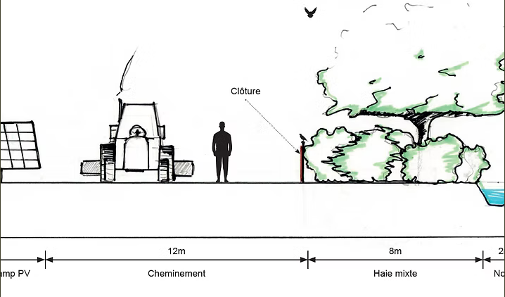 Illustration de mesures envisageables dans le cadre du projet, à double intérêt écologique et paysager