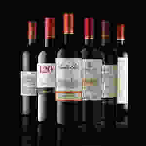 Santa Rita Wines