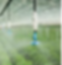 Irrigation System