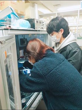 인하대2.jpg