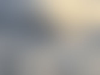 今日のお気に入り