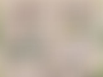 2025「全國縣市議員動物保護貢獻獎」名單公布23位議員獲肯定